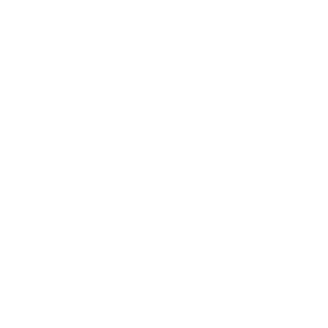 Icon of a case study document with a magnifying glass