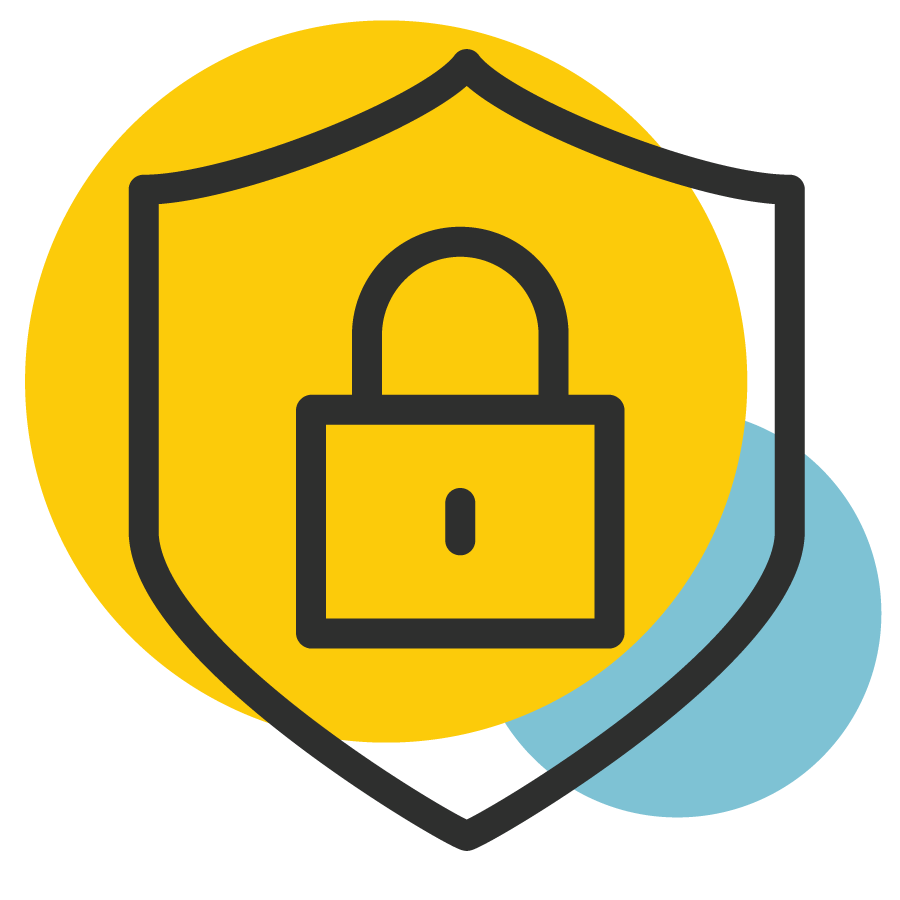 Security systems with surveillance cameras and access control systems